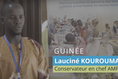 Lire la vidéo 1 sur 1, fenêtre modale